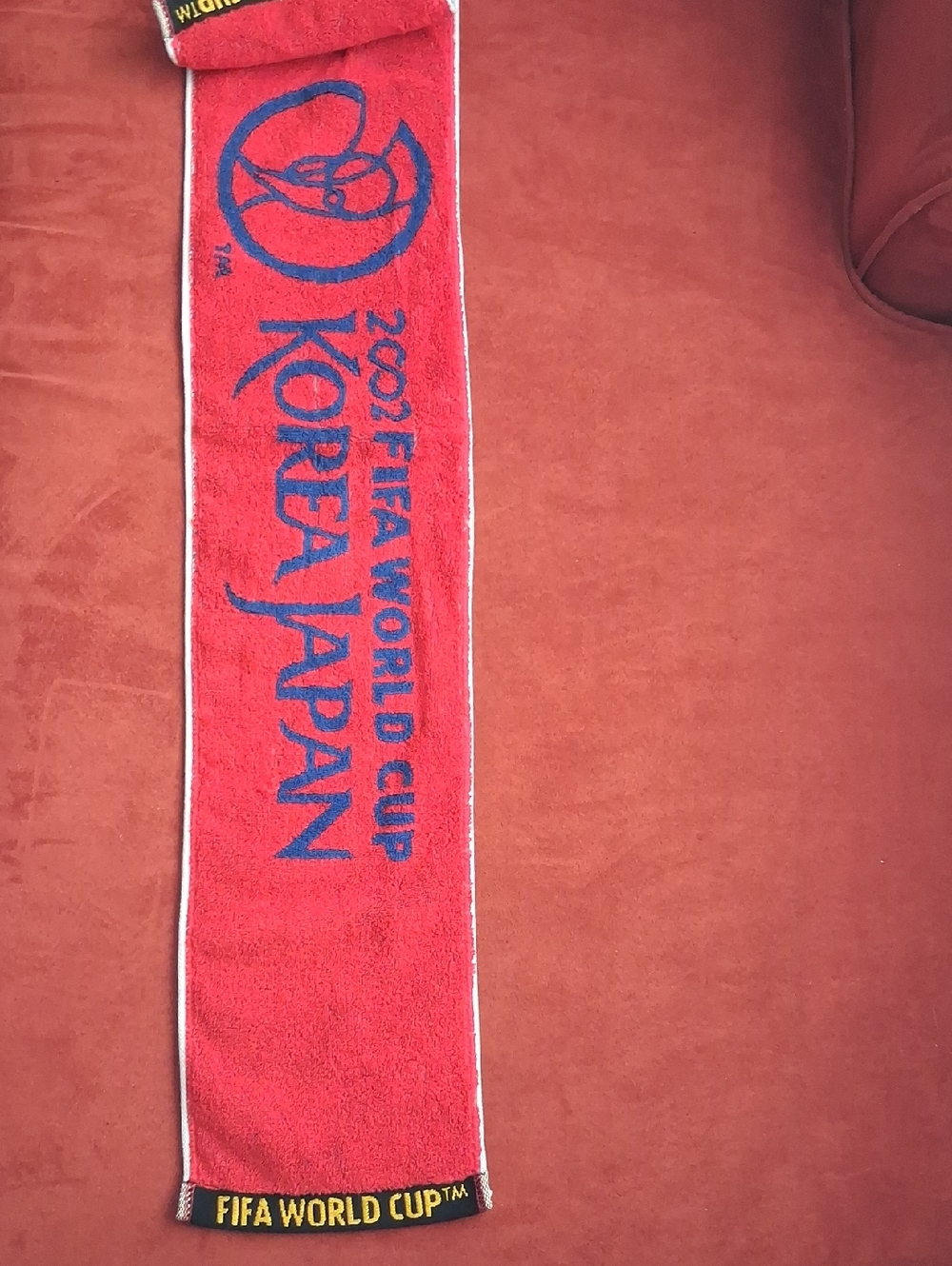World Cup Towel